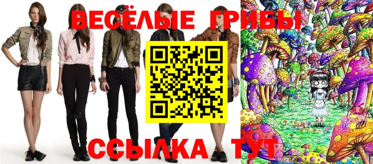 Домодедово  Галлюциногенные грибы Psilocybe  Вход с VPN 